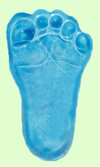 blue-foot-magnet