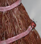 Detail of Ladybug