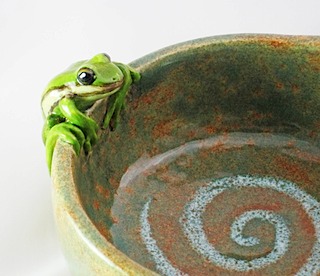 Frog tri bowl